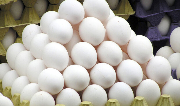 حداکثر قیمت هر کیلوگرم تخم مرغ فله  14 هزار و 500 تومان اعلام شد