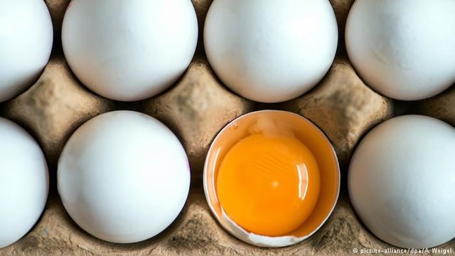 واردات تخم‌مرغ با مجوز وزارت صنعت/ تولید بیشتر از نیاز داخلی