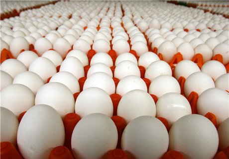 افزایش قیمت تخم مرغ چقدر است؟
