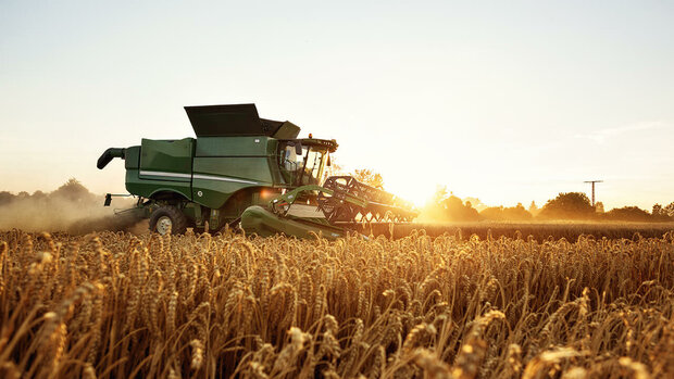کاهش تولید گندم در کشور/ احتمال افزایش 50 درصدی نرخ خرید تضمینی