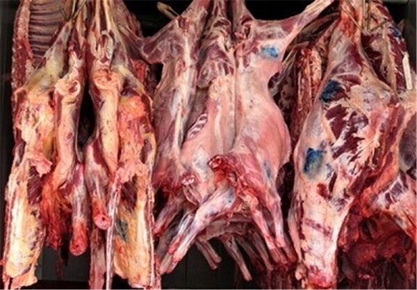 قیمت هر کیلو گوشت گوسفندی، 104 هزارتومان است