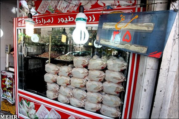 هر جمعه 40 تن مرغ گرم در میادین تره بار تهران توزیع می‌شود