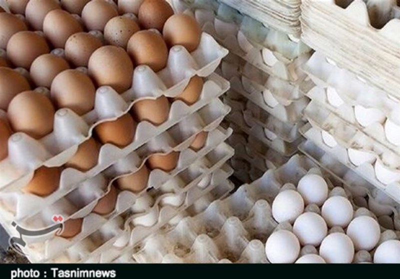 صادرات تخم‌مرغ عملاً متوقف شد