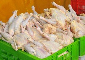 کاهش 2000 تومانی قیمت مرغ
