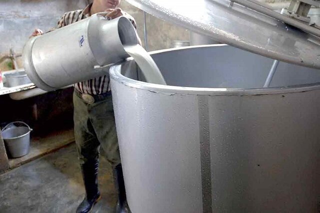 قیمت شیر خام درب دامداری 4500تومان تصویب شد