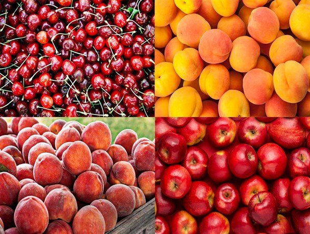 قیمت برخی میوه‌های تابستانه 85 درصد کاهش یافت