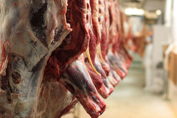 قیمت گوشت قرمز 20 هزار تومان کاهش یافت