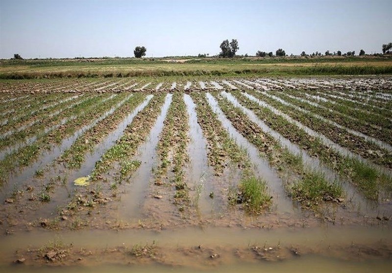 هشدار هواشناسی به کشاورزان تا 24 فروردین/ هشدار سیلابی شدن رودخانه‌ها در 31 استان